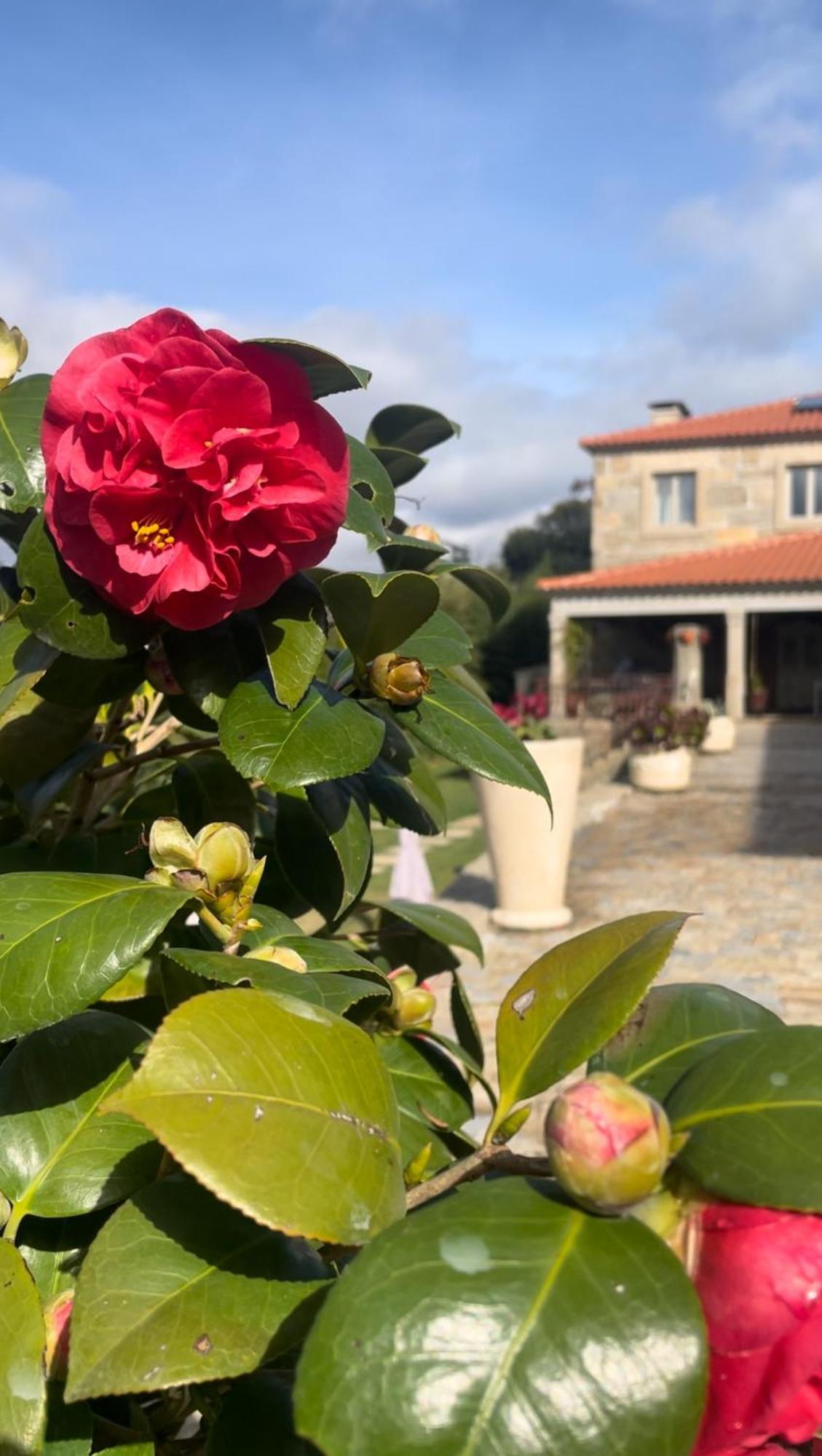 Quinta De Villasete Alpendurada Eksteriør billede