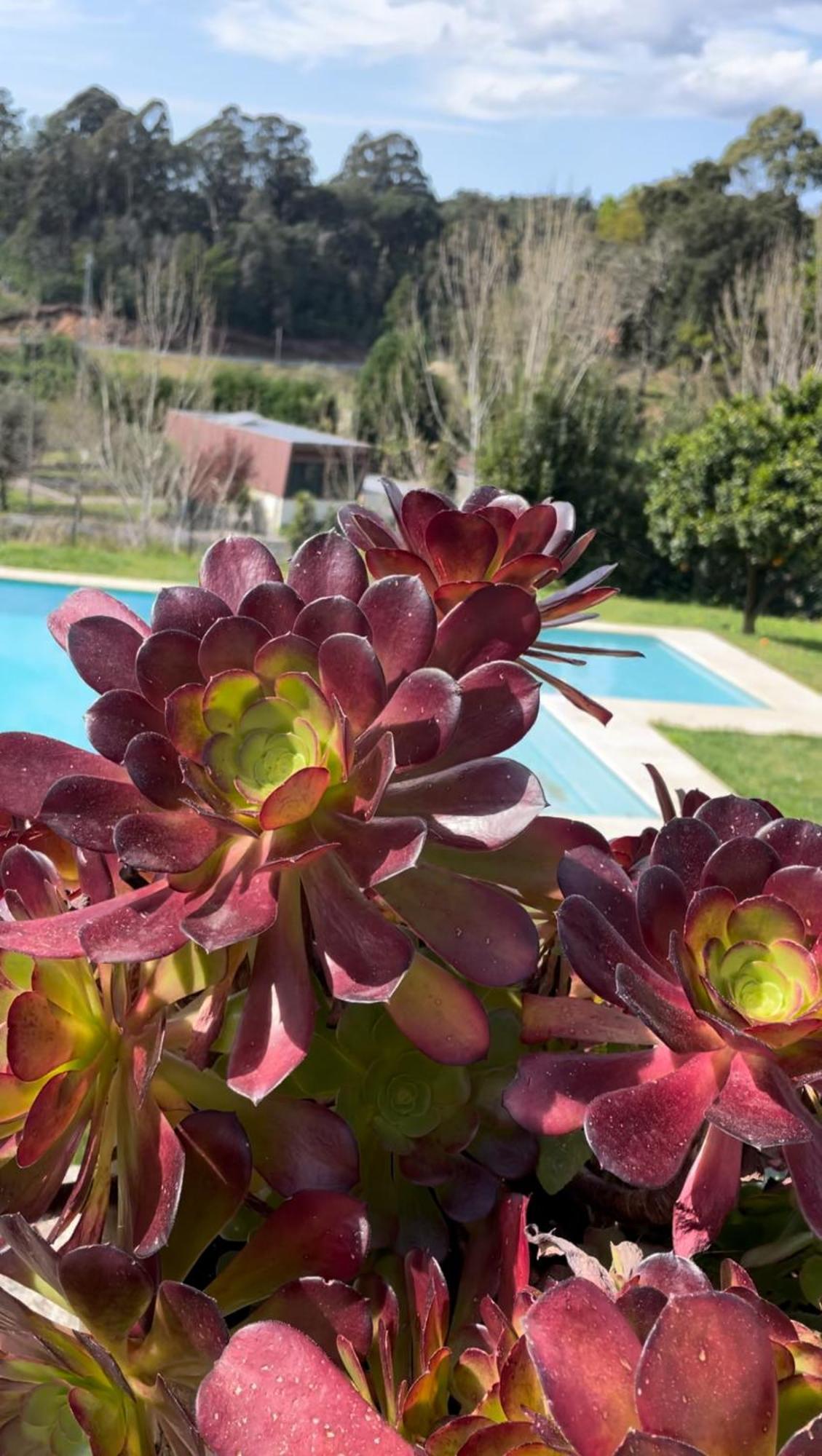 Quinta De Villasete Alpendurada Eksteriør billede