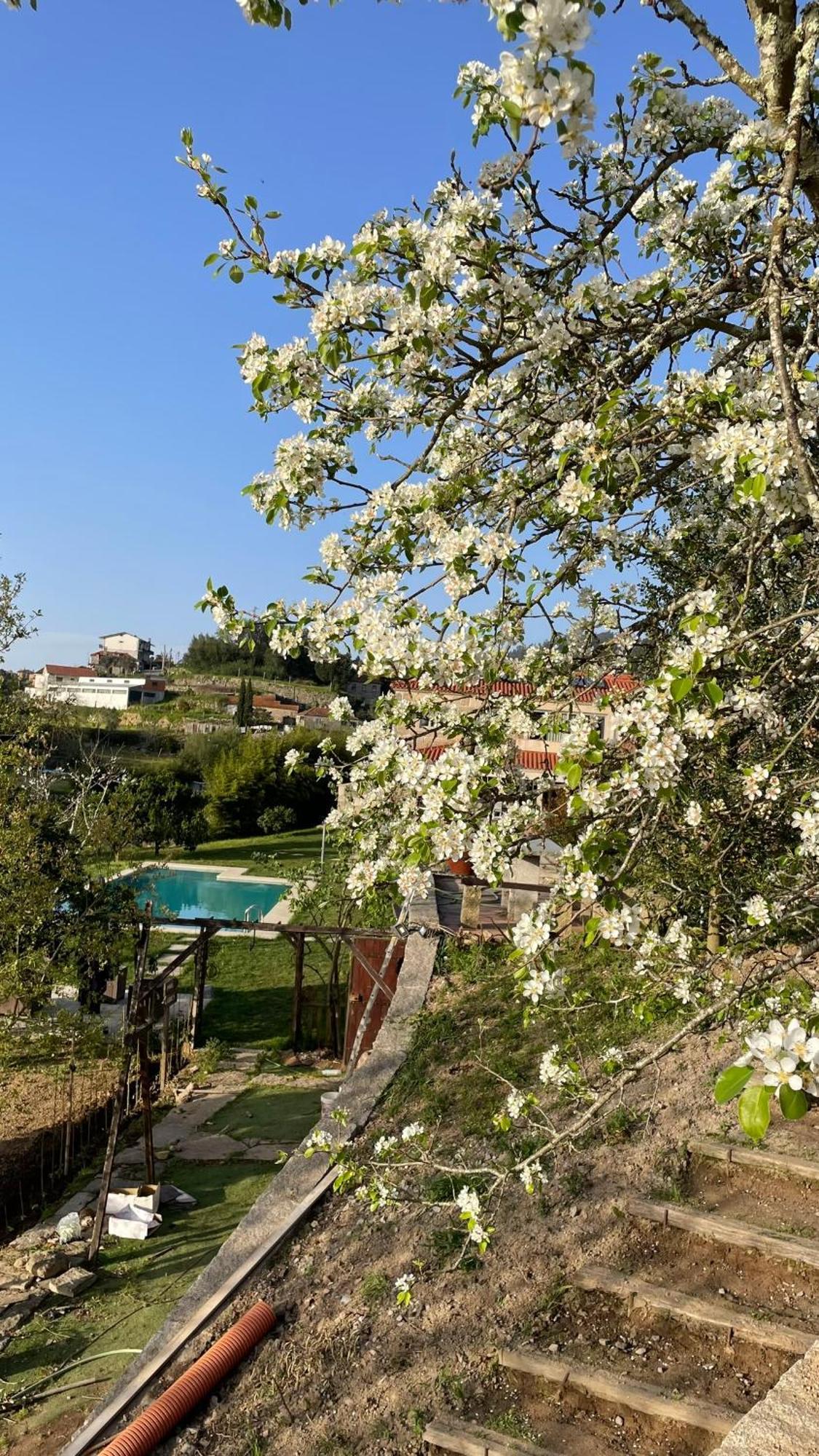 Quinta De Villasete Alpendurada Eksteriør billede