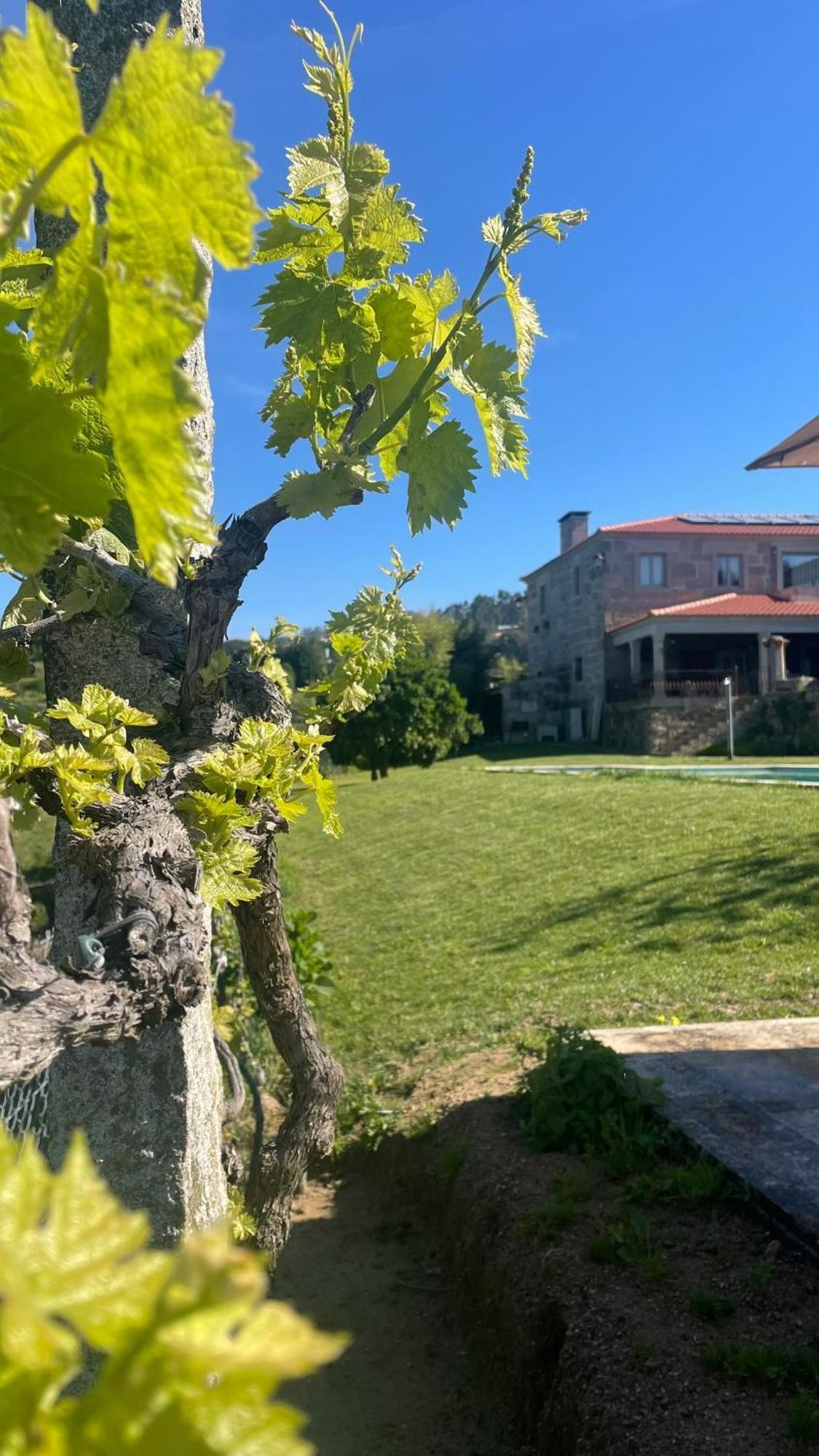 Quinta De Villasete Alpendurada Eksteriør billede