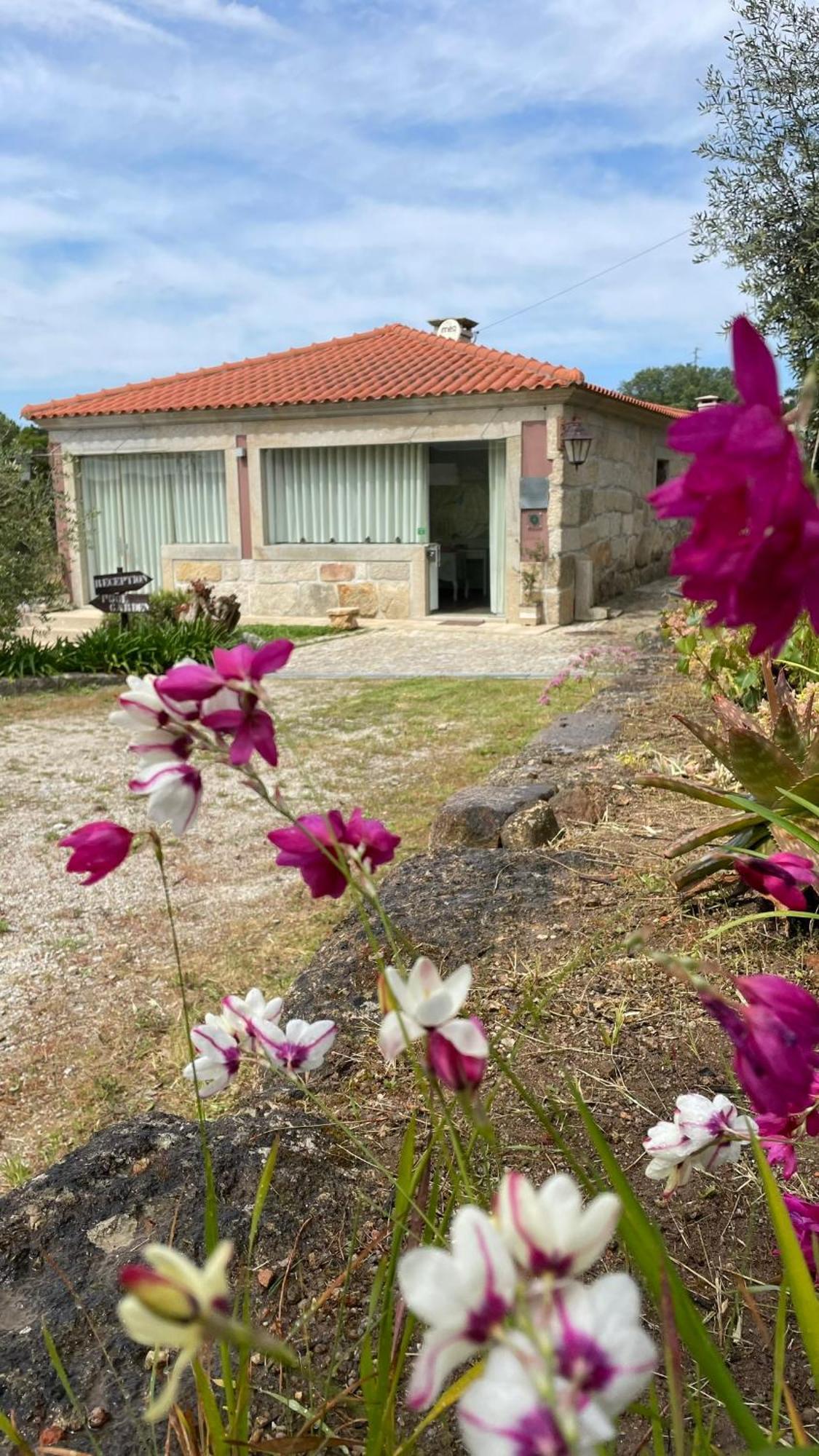 Quinta De Villasete Alpendurada Eksteriør billede