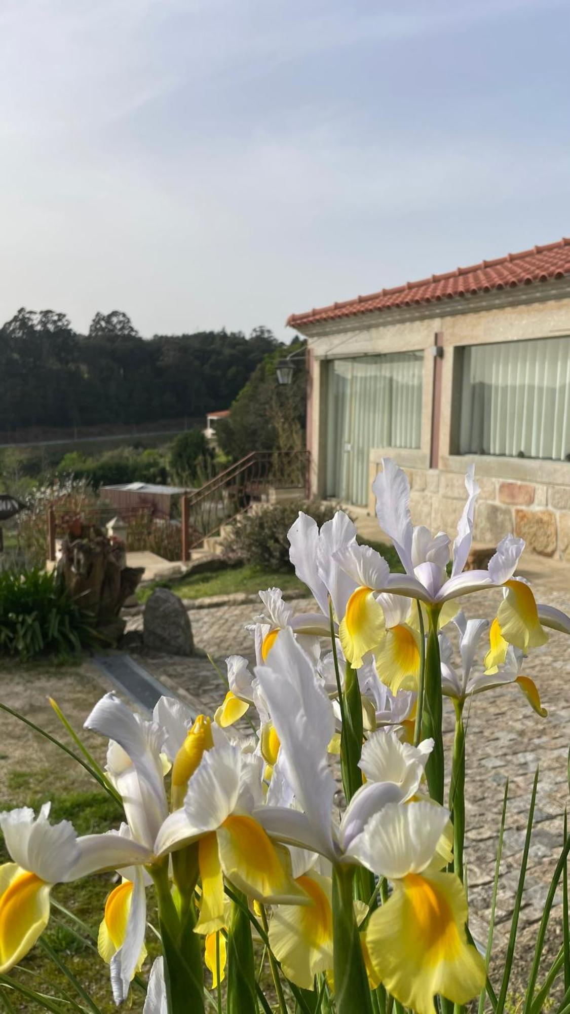 Quinta De Villasete Alpendurada Eksteriør billede